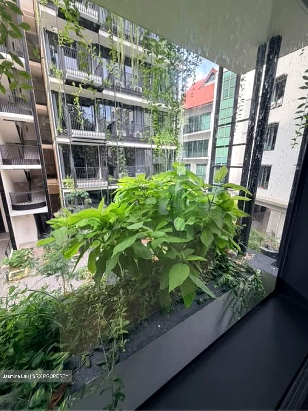 Jervois Mansion (D10), Apartment #533430841